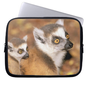 Afrika, Madagaskar, Berenty Private Reserve. Laptopschutzhülle