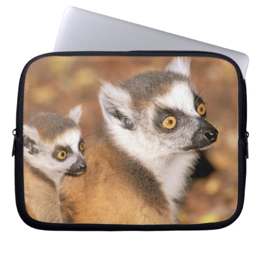 Afrika, Madagaskar, Berenty Private Reserve. Laptopschutzhülle (Vorderseite)