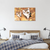 Afrika, Madagaskar, Berenty Private Reserve. Leinwanddruck (Insitu (Schlafzimmer))
