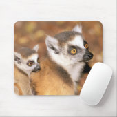 Afrika, Madagaskar, Berenty Private Reserve. Mousepad (Mit Mouse)