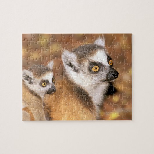 Afrika, Madagaskar, Berenty Private Reserve. Puzzle (Horizontal)