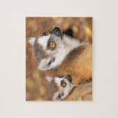 Afrika, Madagaskar, Berenty Private Reserve. Puzzle (Vertikal)