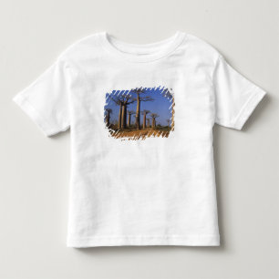 Afrika, Madagaskar, Morondava, Baobab-Allee. Kleinkind T-shirt