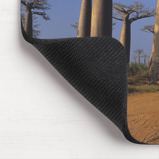 Afrika, Madagaskar, Morondava, Baobab Avenue. Mousepad (Ecke)