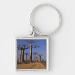 Afrika, Madagaskar, Morondava, Baobab Avenue. Schlüsselanhänger