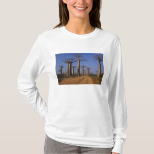 Afrika, Madagaskar, Morondava, Baobab Avenue. T-Shirt