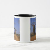 Afrika, Madagaskar, Morondava, Baobab Avenue. Tasse (Zentrum)