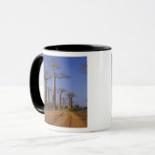 Afrika, Madagaskar, Morondava, Baobab Avenue. Tasse (Vorderseite Links)