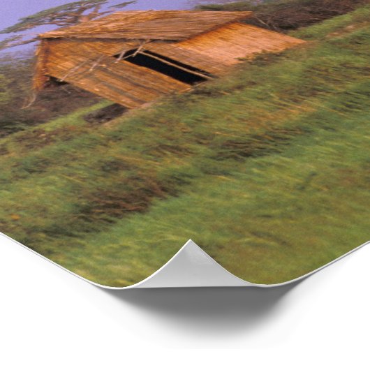 Afrika, Madagaskar, Morondava. Baobabs Poster (Ecke)