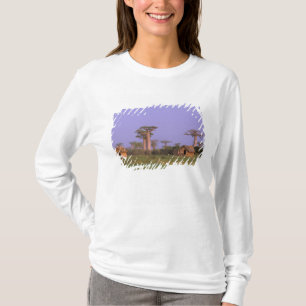 Afrika, Madagaskar, Morondava. Baobabs T-Shirt