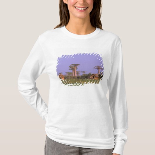 Afrika, Madagaskar, Morondava. Baobabs T-Shirt (Vorderseite)