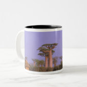 Afrika, Madagaskar, Morondava. Baobabs Zweifarbige Tasse (Vorderseite Links)