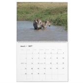 AFRIKA - Million Tier-Kalender 2014 (Zwei-Seite Kalender (Mär 2027)