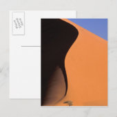 Afrika, Namibia, Abend-Licht auf Dünen, Postkarte (Vorne/Hinten)