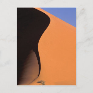 Afrika, Namibia, Abend-Licht auf Dünen, Postkarte