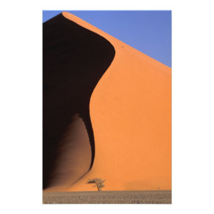 Afrika, Namibia, Abendlicht auf Dünen, Fotodruck