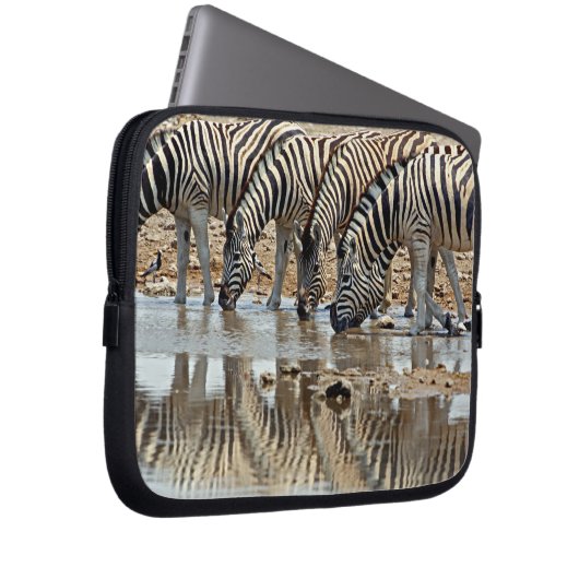 Afrika, Namibia, Etosha NP. Burchell's Zebra Laptopschutzhülle (Vorne Rechts)