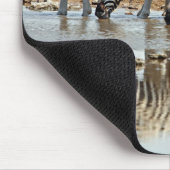 Afrika, Namibia, Etosha NP. Burchell's Zebra Mousepad (Ecke)