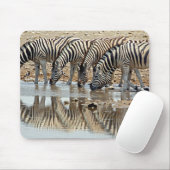 Afrika, Namibia, Etosha NP. Burchell's Zebra Mousepad (Mit Mouse)