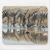 Afrika, Namibia, Etosha NP. Burchell's Zebra Mousepad (Vorne)