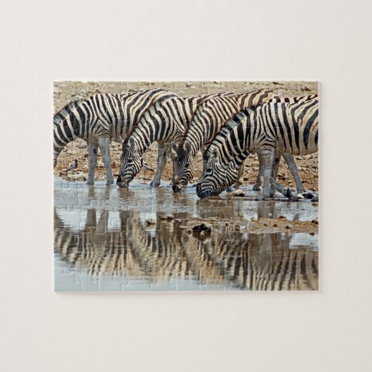 Afrika, Namibia, Etosha NP. Burchell's Zebra Puzzle (Horizontal)