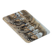Afrika, Namibia, Etosha NP. Steppenzebra Magnet (Rechte Seite)