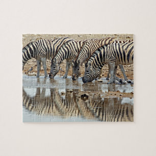 Afrika, Namibia, Etosha NP. Steppenzebra Puzzle