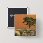 Afrika, Namibia, Namib-Nationalpark, Sossusvlei Button (Vorne & Hinten)