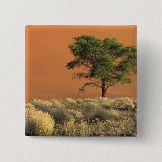 Afrika, Namibia, Namib-Nationalpark, Sossusvlei Button (Vorderseite)