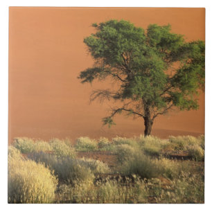 Afrika, Namibia, Namib-Nationalpark, Sossusvlei Fliese