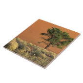 Afrika, Namibia, Namib-Nationalpark, Sossusvlei Fliese (Seite)
