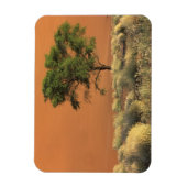 Afrika, Namibia, Namib-Nationalpark, Sossusvlei Magnet (Vertikal)