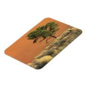 Afrika, Namibia, Namib-Nationalpark, Sossusvlei Magnet (Linke Seite)