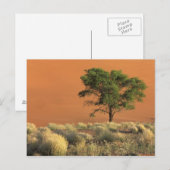 Afrika, Namibia, Namib-Nationalpark, Sossusvlei Postkarte (Vorne/Hinten)