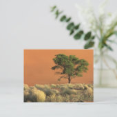 Afrika, Namibia, Namib-Nationalpark, Sossusvlei Postkarte (Stehend Vorderseite)
