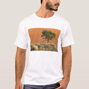 Afrika, Namibia, Namib-Nationalpark, Sossusvlei T-Shirt