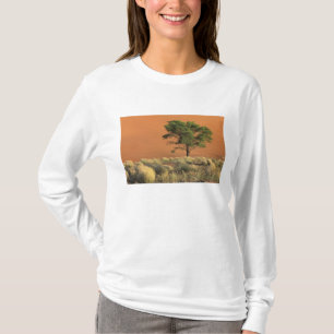 Afrika, Namibia, Namib-Nationalpark, Sossusvlei T-Shirt