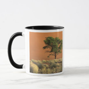 Afrika, Namibia, Namib-Nationalpark, Sossusvlei Tasse