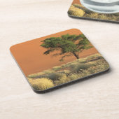 Afrika, Namibia, Namib-Nationalpark, Sossusvlei Untersetzer (Linke Seite)