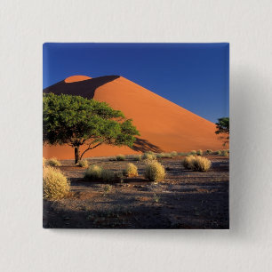 Afrika, Namibia, Namib-Naukluff Park, Sossosvlei Button