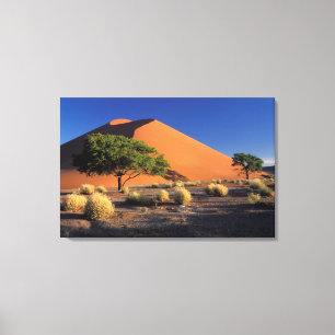 Afrika, Namibia, Namib-Naukluff-Park, Sossosvlei Leinwanddruck