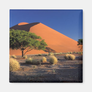 Afrika, Namibia, Namib-Naukluff-Park, Sossosvlei Magnet