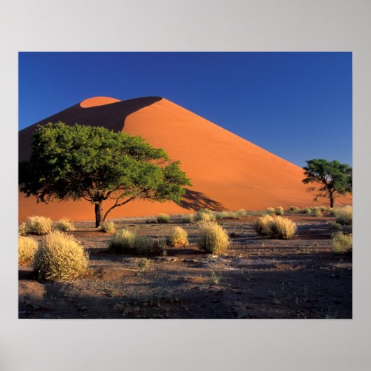 Afrika, Namibia, Namib-Naukluff-Park, Sossosvlei Poster (Vorne)