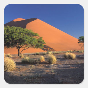Afrika, Namibia, Namib-Naukluff Park, Sossosvlei Quadratischer Aufkleber