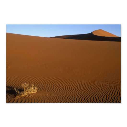 Afrika, Namibia, Namib Naukluft National Park, 2 Fotodruck (Vorne)