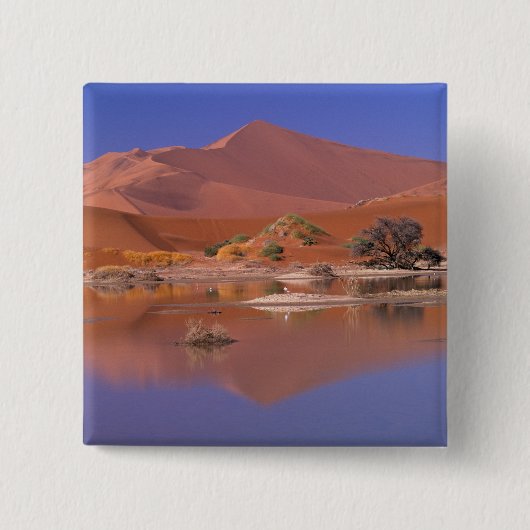 Afrika, Namibia. Namib-Naukluft Park.2 Button (Vorderseite)