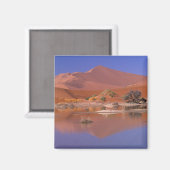 Afrika, Namibia. Namib-Naukluft Park. 2 Magnet (Vorderseite/Rückseite)