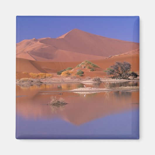 Afrika, Namibia. Namib-Naukluft Park. 2 Magnet (Vorne)