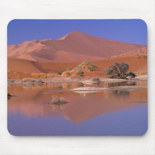 Afrika, Namibia. Namib-Naukluft Park.2 Mousepad (Vorne)