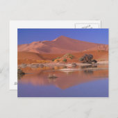 Afrika, Namibia. Namib-Naukluft Park. 2 Postkarte (Vorne/Hinten)